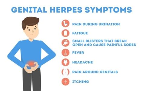 Genital Herpes Types Symptoms And Causes World Health Beauty