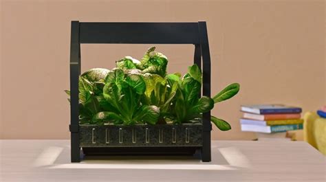 Just add water and a little loving care. IKEA Brings Hydroponics To The Mainstream With Indoor Gardening Kit - Hobby Farms