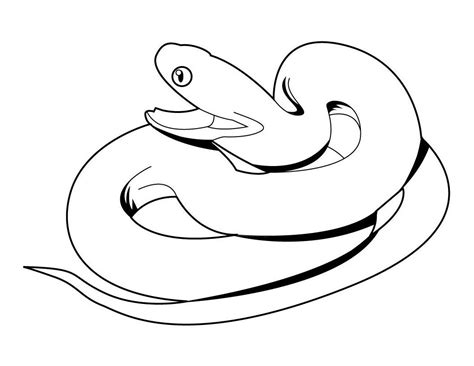 Free snake coloring pages snake no. Snake Coloring Page Pictures - Animal Place
