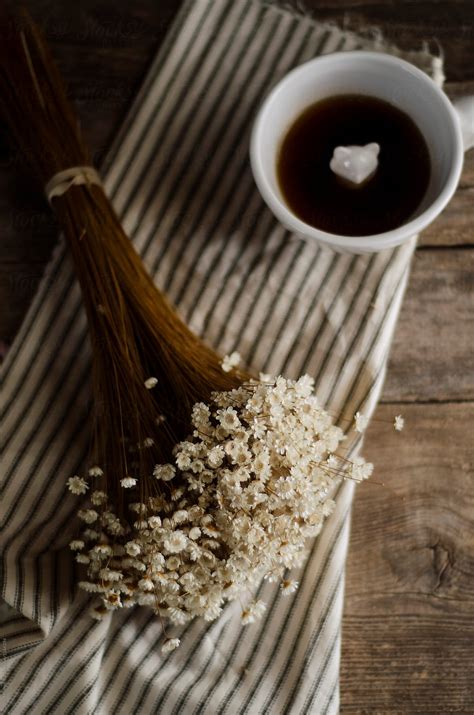 We did not find results for: Dried Flowers And Coffee by Crissy Mitchell