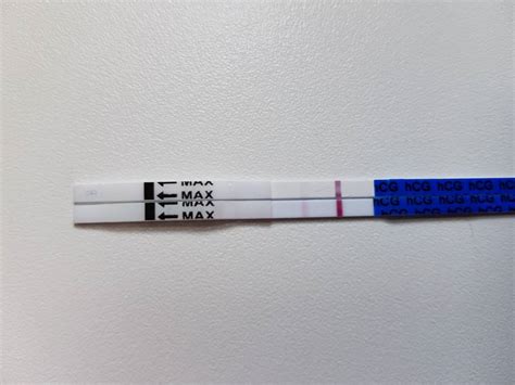 The test strip should be lowered to a certain point in a container with a morning urine urine is not necessarily morning, as jet, a pregnancy test is usually more sensitive. One Step Pregnancy Test Positive Result Look Like ...