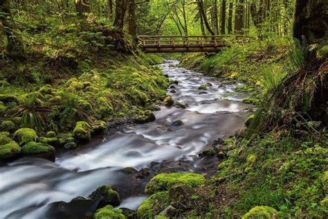 Water Under The Bridge Oregon Nature Photography Clint Losee