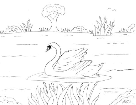 Robins Great Coloring Pages Swans Coloring Pages