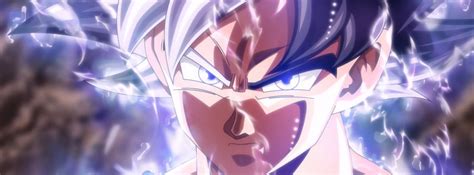 Anime Dragon Ball Super Goku Mastered Ultra Instinct