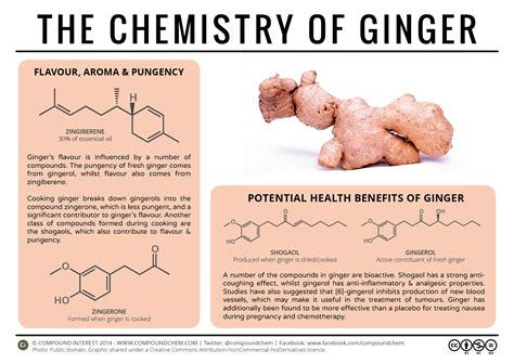 The Chemistry Of Ginger Flavour Pungency And Medicinal Potential