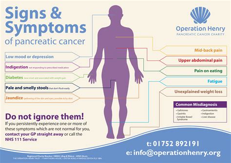 What are the symptoms of pancreatic cancer? Pancreatic Cancer - The Rotary Club of Roundhay