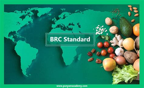 The Brc Standard Explain The Important Elements To Understand The