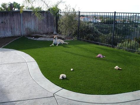 Why does dog urine damage your lawn? 9 Easy Tips To Dog-Proof Your Backyard - Animal Lova