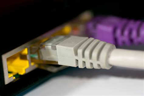 What Are the Basics of an Ethernet LAN?