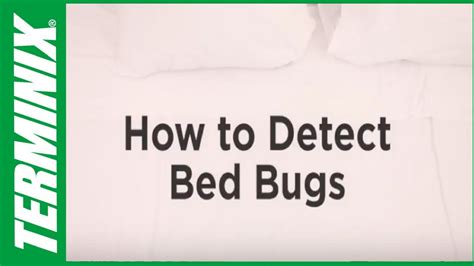 Protect Home From Bed Bugs How To Detect Bed Bugs Terminix Youtube