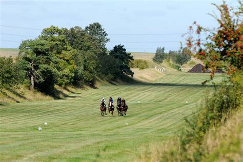 Between The Ditches On Newmarket Heath Racecourse Side Emma Berry