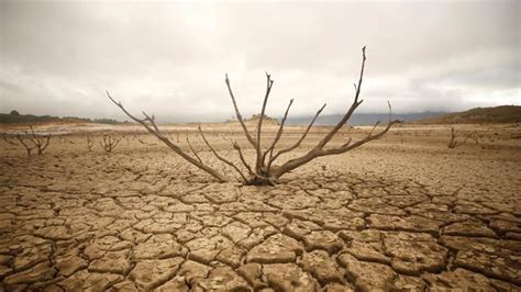 Eu Offers Additional €50 Mln To Tackle Drought In The Horn Of Africa Cgtn