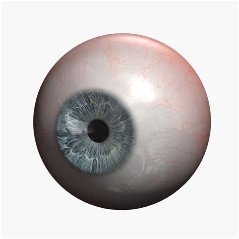 Human Eye 3d Model Human Eye Realistic Eye Eyes