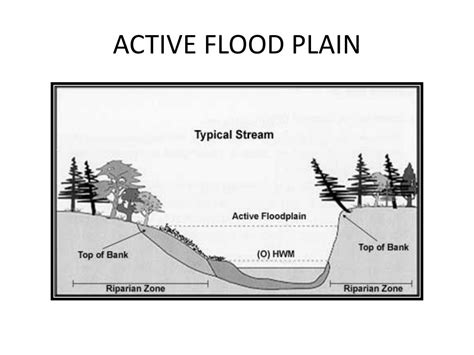 Ppt Active Flood Plain Powerpoint Presentation Free Download Id