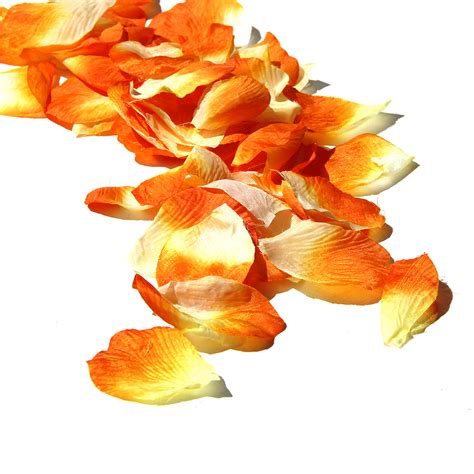 Alize bella 100% cotton yarn, 50 grams, 180 metres, fingering weight. Orange Rose Petals | Wholesale Rose Petals | Orange Confetti