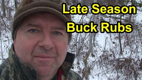 Late Season Buck Rubs And Buck Sign Bow Hunting For Deer Youtube