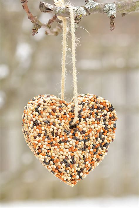 How To Make Birdseed Ornaments Easy Birdseed Ornaments Recipe