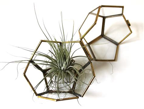Large Vintage Polyhedron Multi Sided Brass And Glass Terrarium Box 5 X 5 Inches Perfect As A