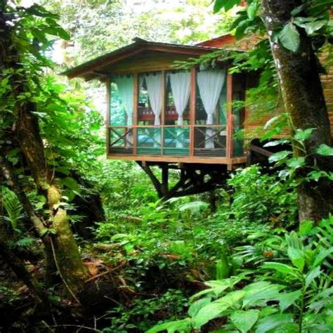 Ian Andersons Caves Branch Treehouse And Jungle Lodge In Belizebelize