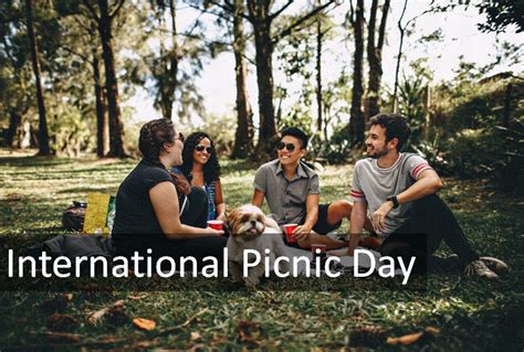International Picnic Day 2023 Taking A Break From The Hustle And