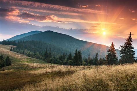 Every booking gets over $700 in discounts to smoky mountain attractions. 7 Reasons to Plan a Smoky Mountain Vacation Soon