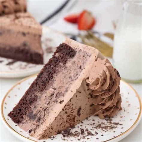 Easy Chocolate Ice Cream Cake Recipe Beyond Frosting