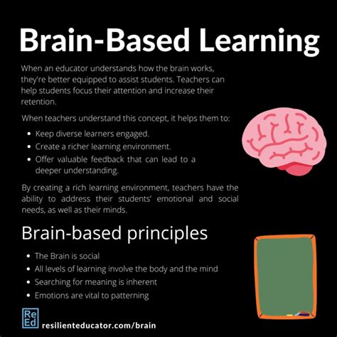 What Is Brain Based Learning Explanation And Examples Resilient Educator
