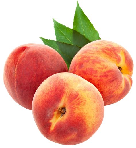 What more can a person expect from a plant? Peaches clipart pink peach, Peaches pink peach Transparent ...