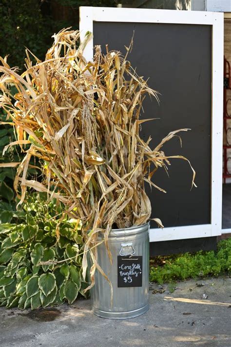 Dried And Bundled Corn Stalks For Sale At Our Farm Stand In Milwaukee