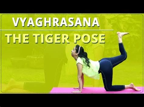 LEARN HOW TO Do The TIGER POSE Vyaghrasana Simple Yoga Yoga For