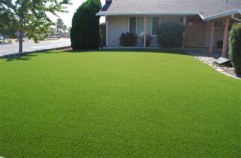 The final problem waltz encounters most frequently is a small backyard around which leyland cypress has been planted as a privacy screen. Fake Grass for Yard - Ideas for a beautiful backyardFake ...