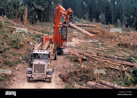 Logging Machinery And Cut Logs Stock Photo Alamy