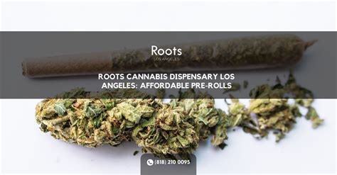 Roots Cannabis Dispensary Los Angeles Affordable Pre Rolls