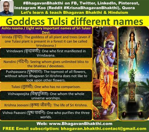 List Of Goddess Tulsi Tulasi Devi Names With Meaning What Are The