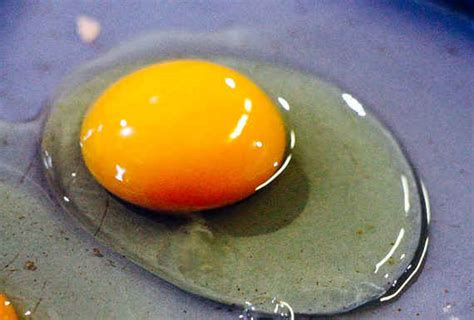 All egg cartons and trays sold in australia must be marked with a best before date and this is the easiest and most reliable as we've already described, rotten eggs will also have a sulfuric smell to them. How To Tell If Your Eggs Have Gone Bad | HuffPost
