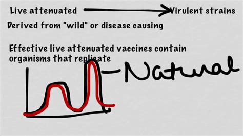 The best technology or approach to. Types Of Vaccines - YouTube