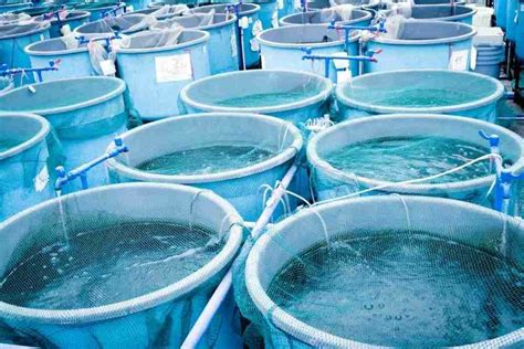 Aquaculture Systems Land And Water Based Basic Agricultural Study