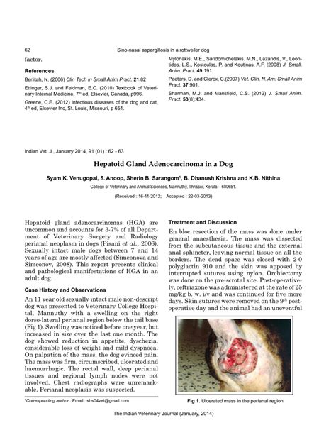 Pdf Hepatoid Gland Adenocarcinoma In A Dog