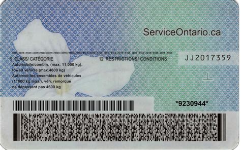 On Ontario Drivers License Psd Template Download 2021 Templates