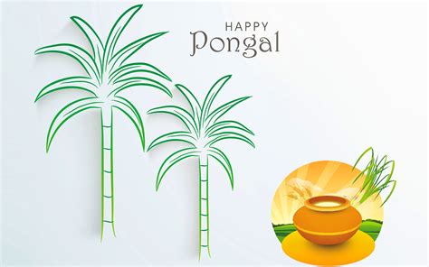 Happy Pongal Wallpapers Pictures Images Free Download Techicy