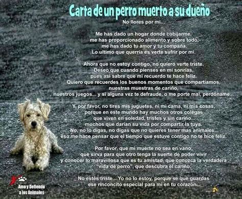 Imagen Relacionada Cuando Muere Un Perro Poemas Para Perros Muerte