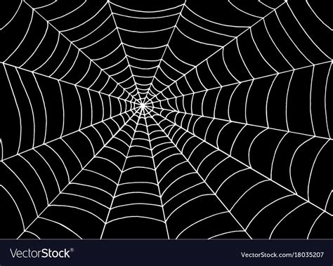 White Spider Web On Black Background Doodle Vector Image