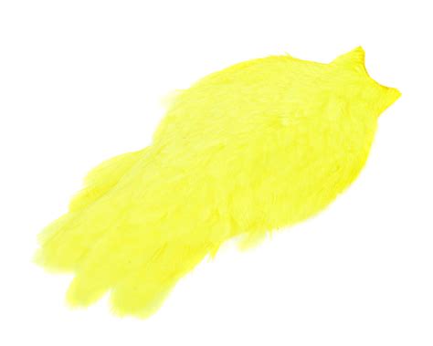 Whiting American Hen Cape Finesse Fly Tying