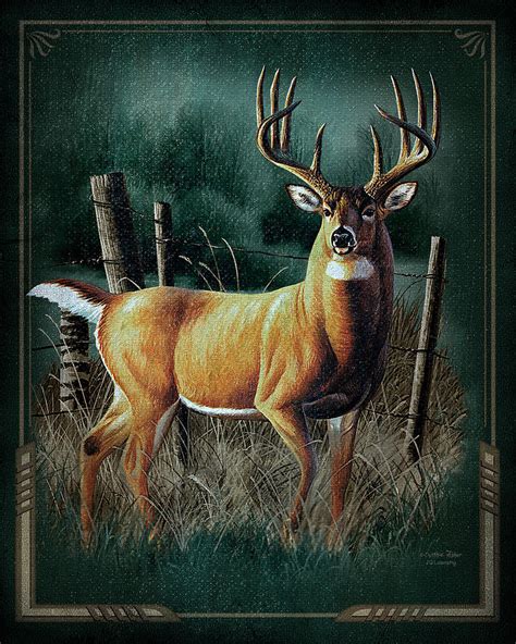 We did not find results for: Whitetail Deer Painting by JQ Licensing