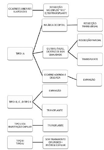 Rbcp Algorithm For Approaching Scar Alopecia And Treatment Options My