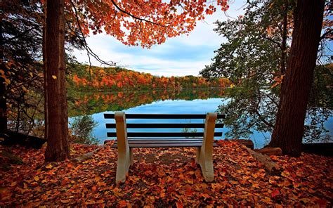 3840x2400 Wallpaper Bench Autumn River Lake Trees Forest Falls