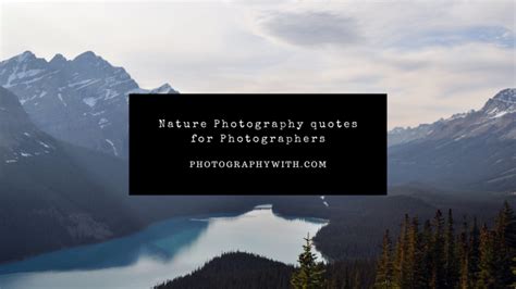 71 Nature Photography Quotes And Caption For Photographers With Images