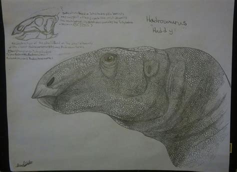 Hadrosaurus Dinopedia Fandom Powered By Wikia