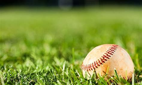 It is an attachment that helps your lawn emulate the look of mlb outfields. Ever wish your lawn could look like a major league ...