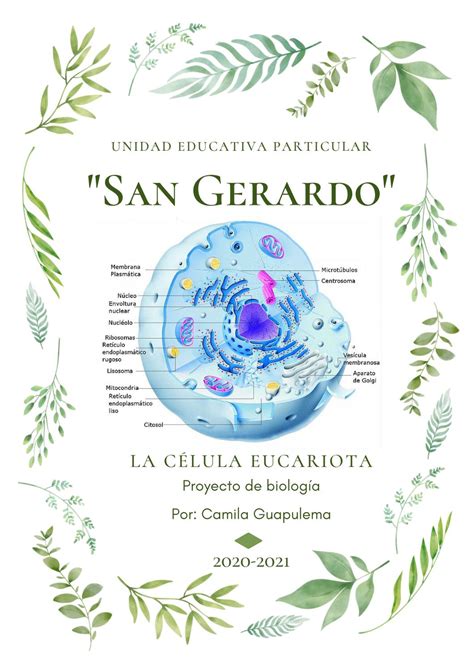 Célula Eucariota By Camila Valeska Guapulema Vivanco Issuu